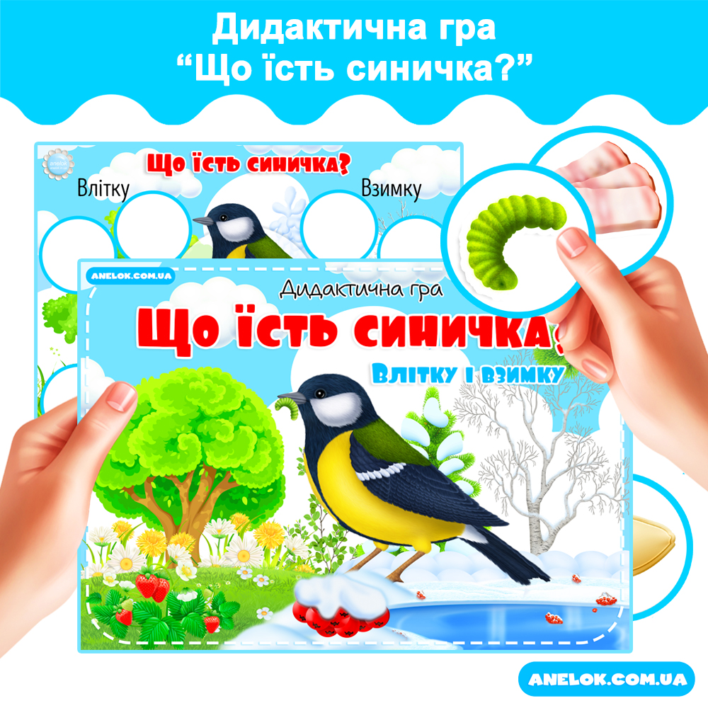 Дидактична гра Що їсть синичка? (Влітку і взимку)