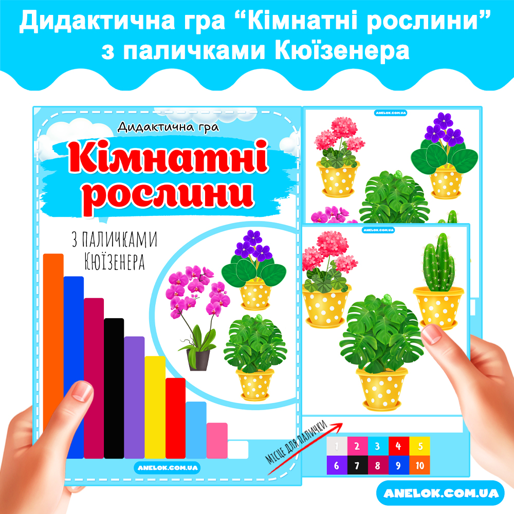 Дидактична гра з паличками Кюїзенера Кімнатні рослини