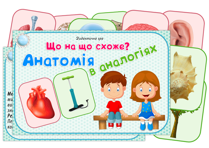 Дидактична гра Що на що схоже? Анатомія в аналогіях