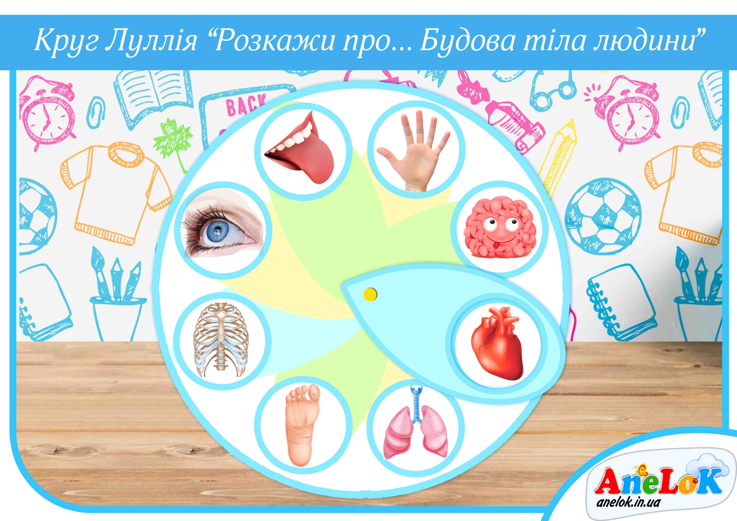 Круг Луллія Розкажи про…(Будова тіла людини)