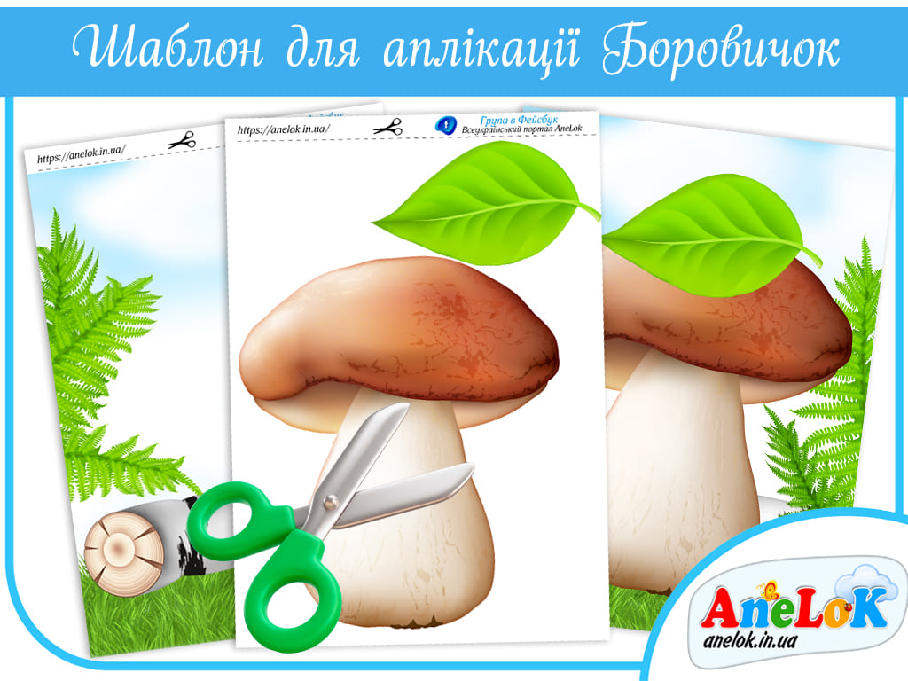 Аплікація Боровичок