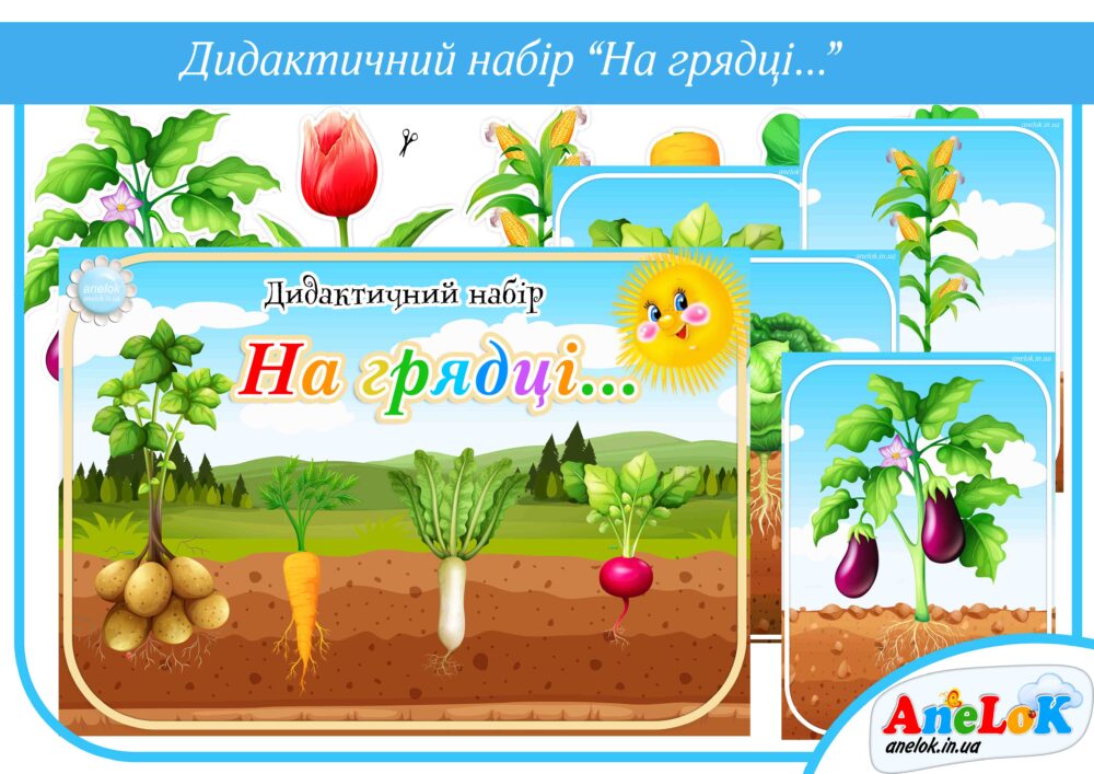 Демонстраційний матеріал На грядці (Вершки і корінці) Анелок