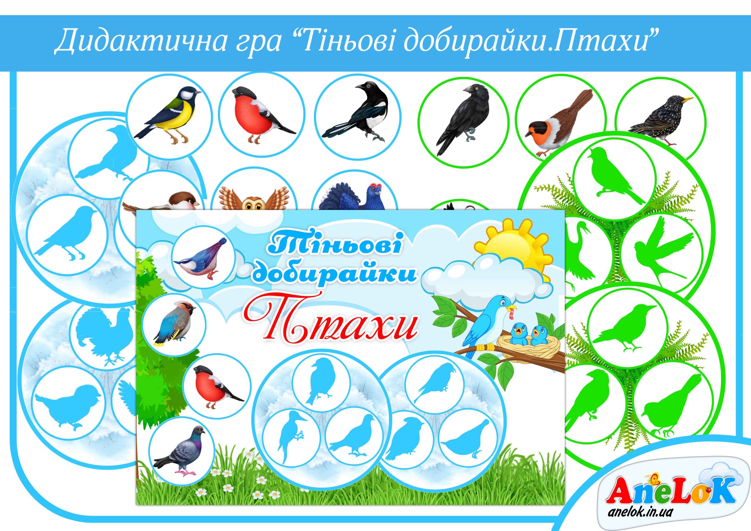 Дидактична гра Тіньові добирайки (Птахи)