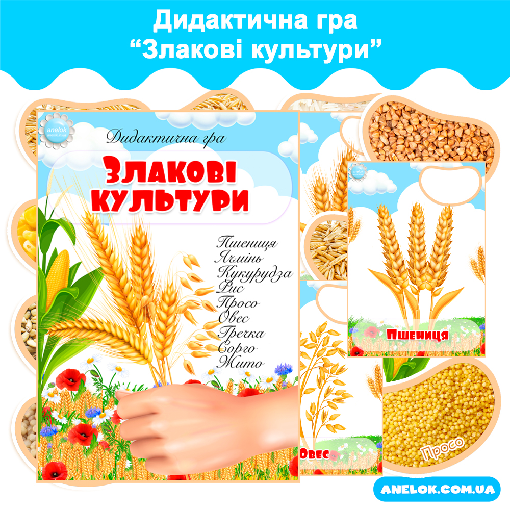 Дидактична гра Злакові рослини (Злаки)