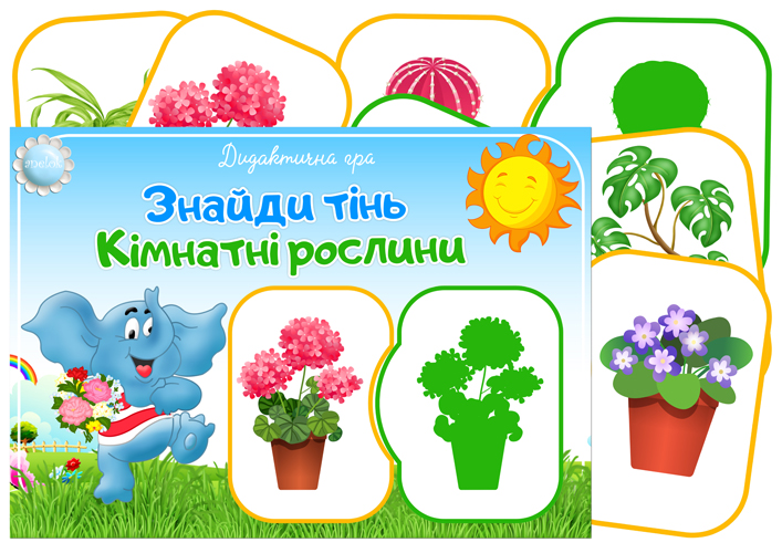Дидактична гра Знайди тінь (Кімнатні рослини)