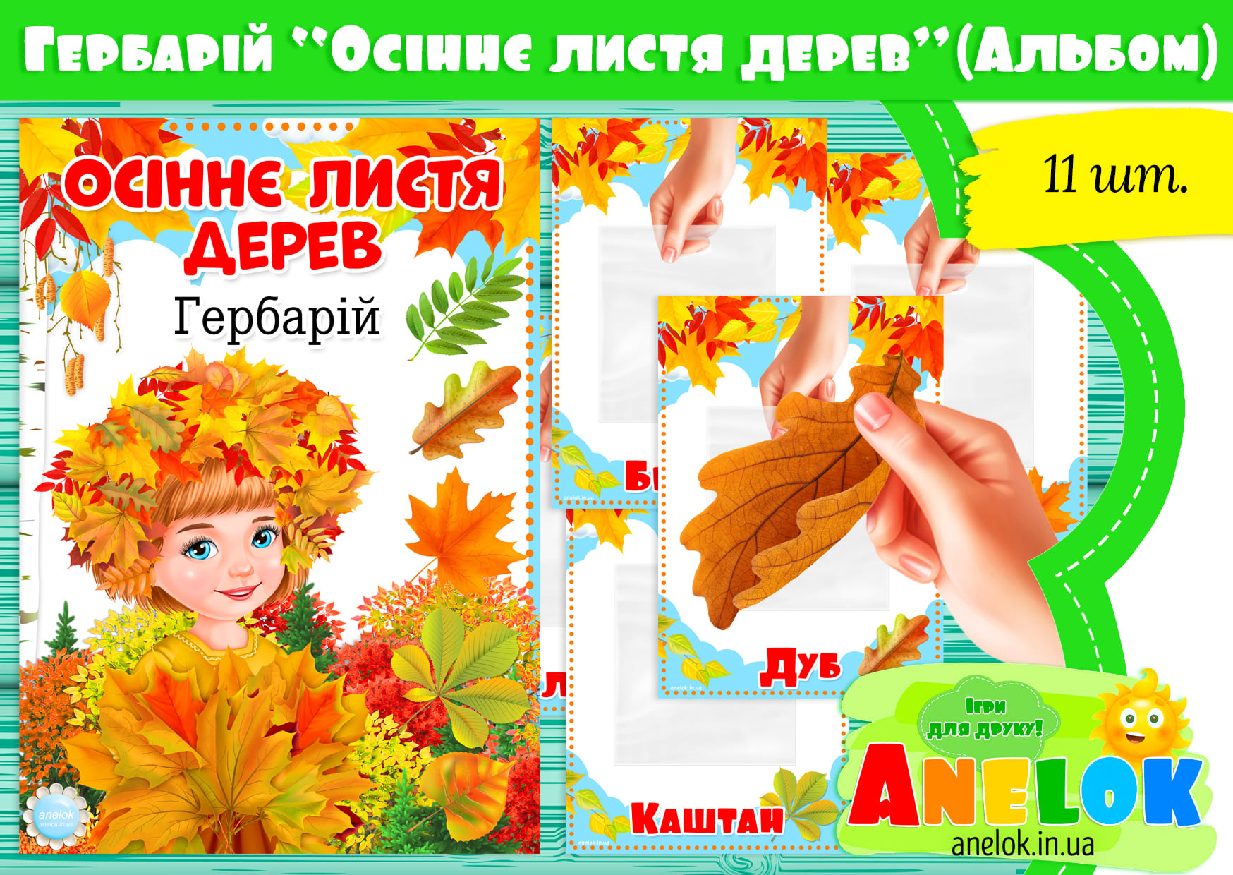 Гербарій Осіннє листя дерев (Альбом)