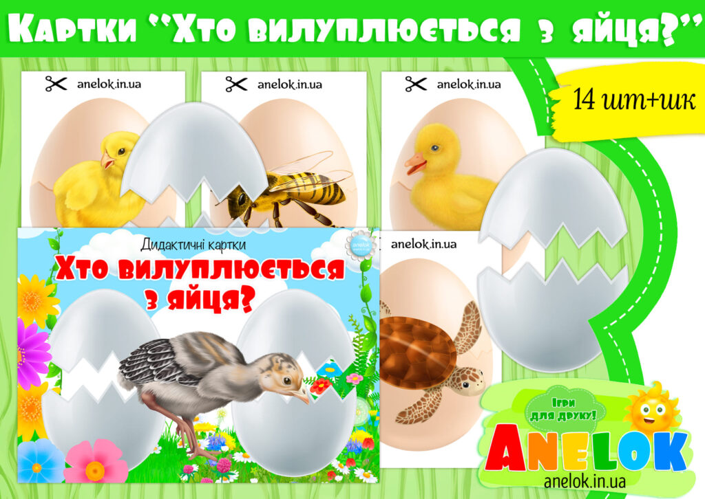 Дидактичні картки Хто вилуплюється з яйця?