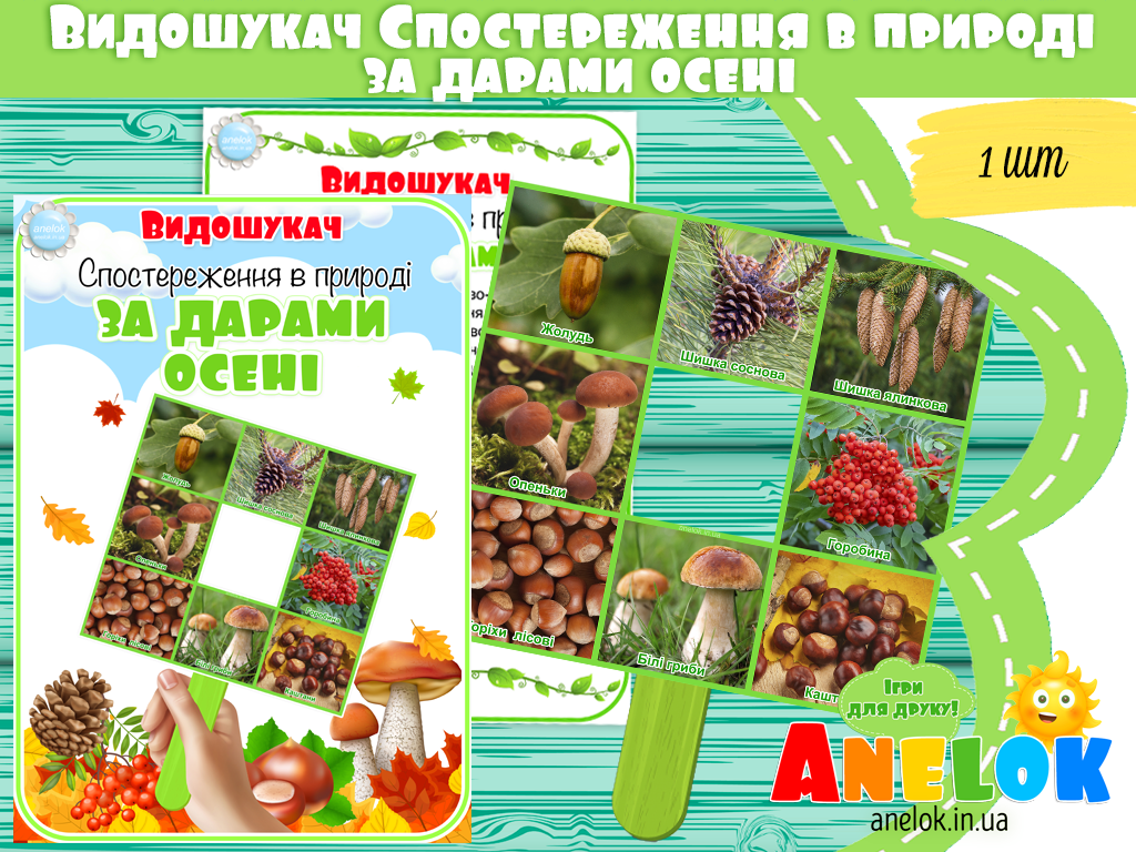 Видошукач Спостереження в природі за дарами осені
