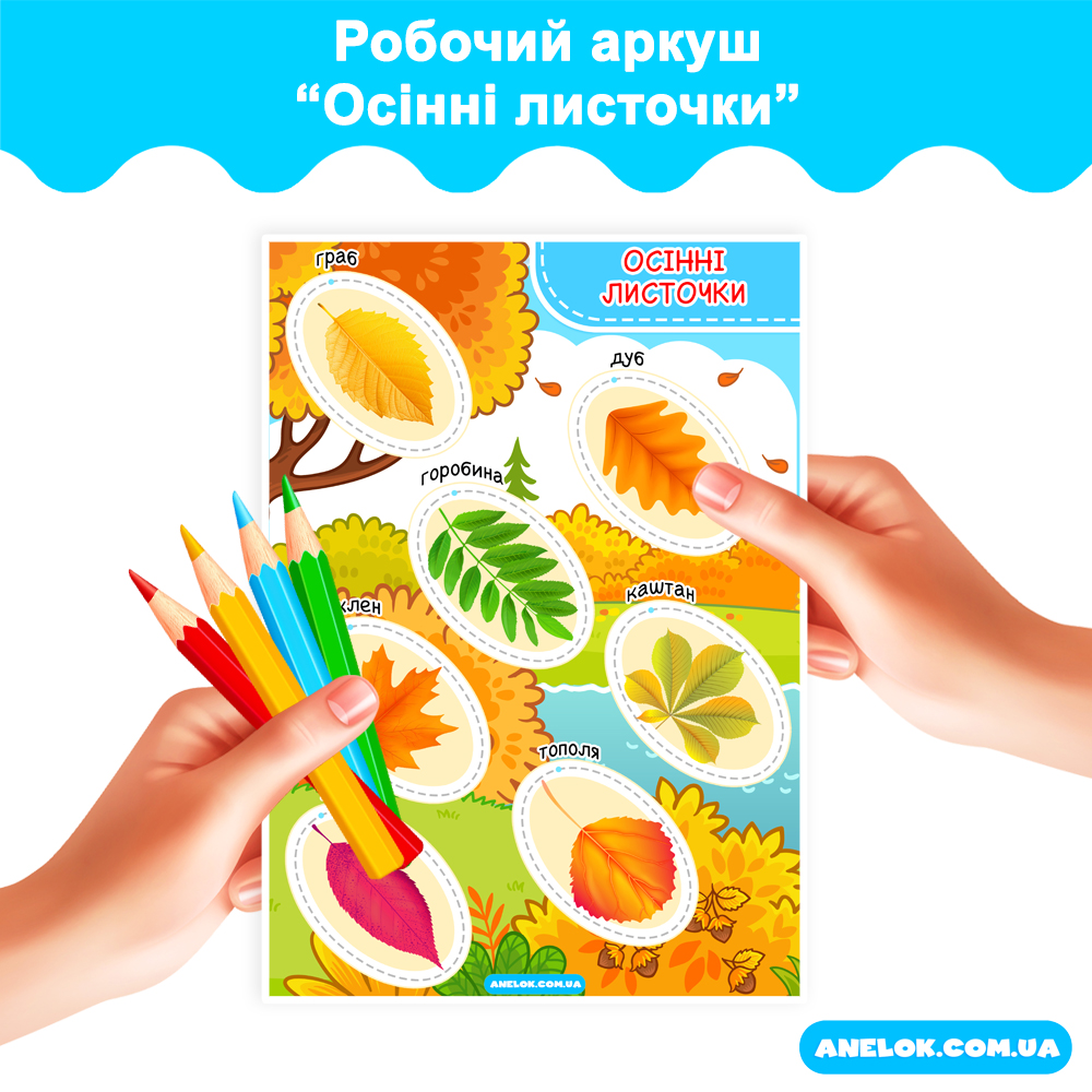 Робочий аркуш Осінні листочки
