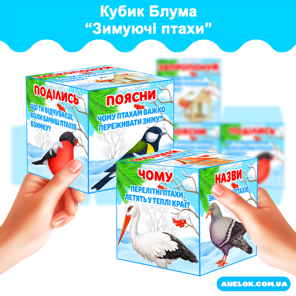 Кубик Блума Зимуючі птахи