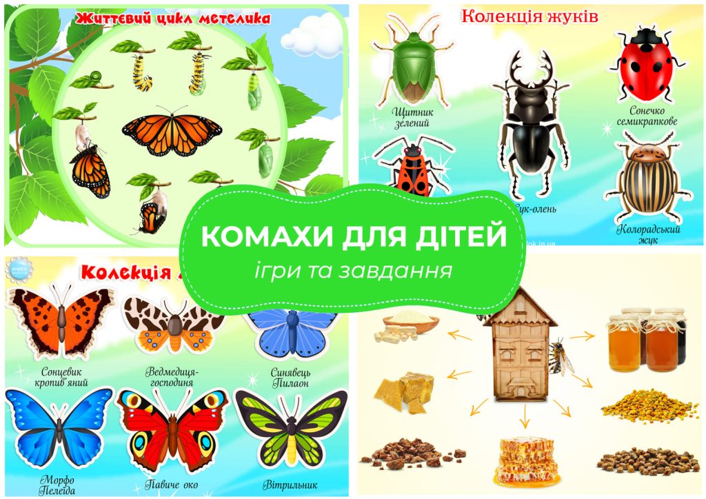 Комахи для дітей: дидактичні ігри, картинки, завдання, аплікації, Анелок.