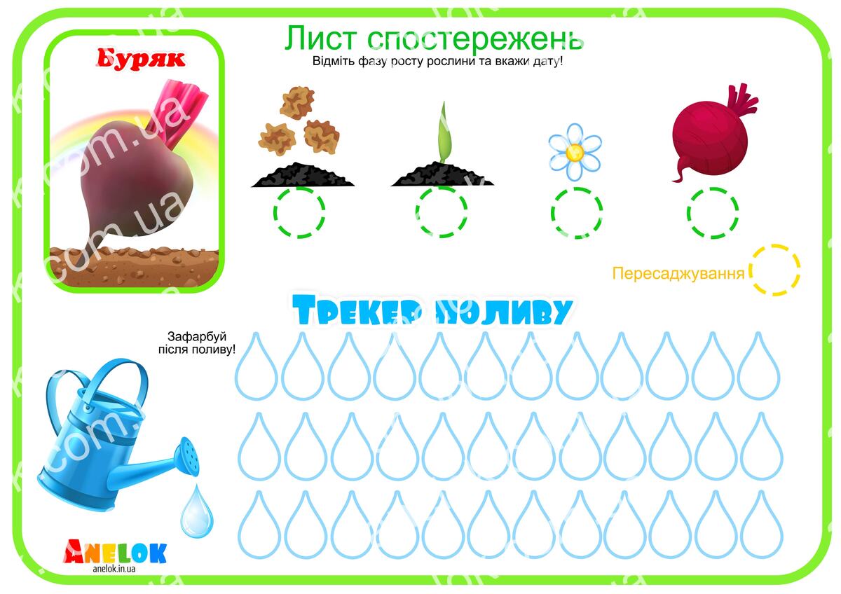 Лист спостережень за буряком – Етапи росту та трекер