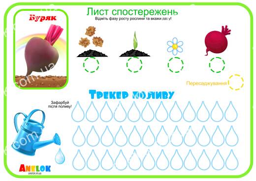 Лист спостережень за буряком – Етапи росту та трекер