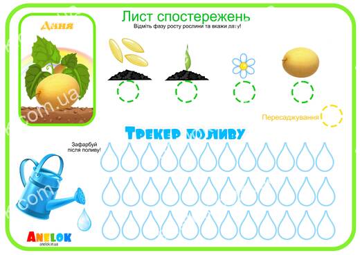 Лист спостережень за динею – Етапи росту та трекер