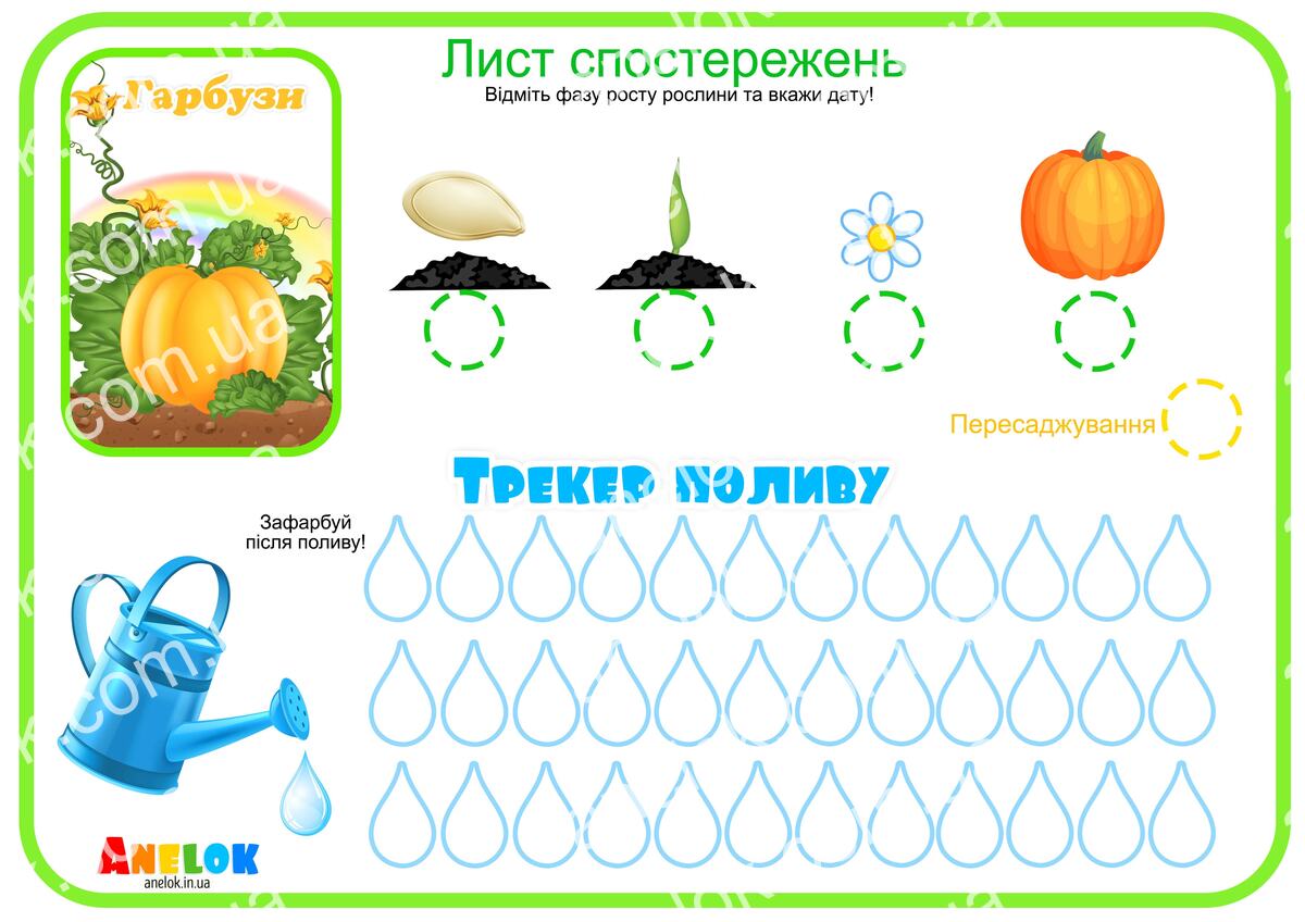 Лист спостережень за гарбузом – Етапи росту та трекер