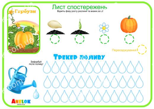 Лист спостережень за гарбузом – Етапи росту та трекер