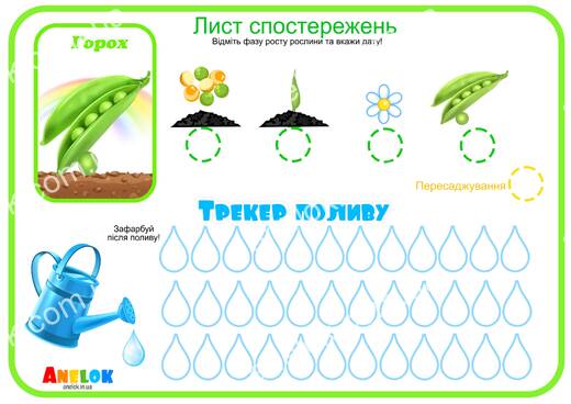 Лист спостережень за горохом – Етапи росту та трекер