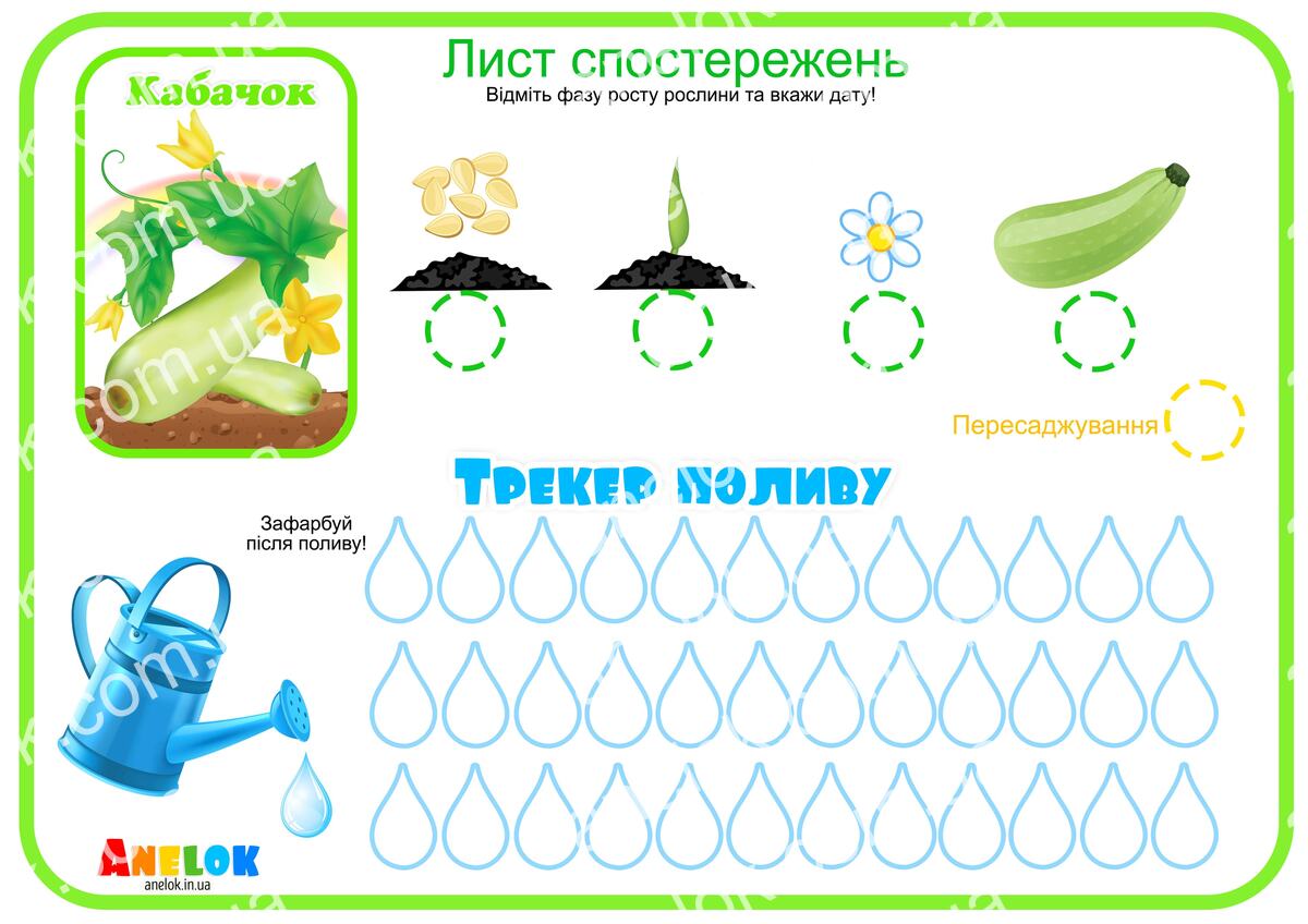 Лист спостережень за кабачком – Етапи росту та трекер