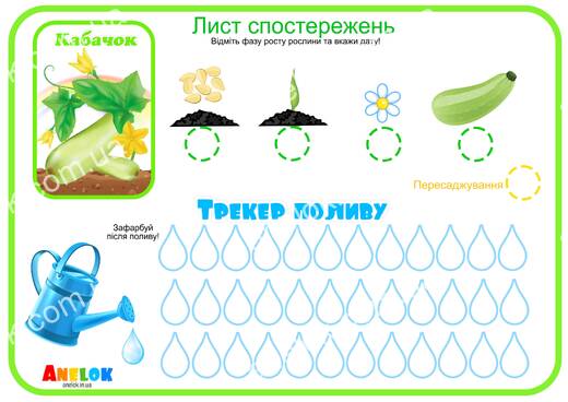 Лист спостережень за кабачком – Етапи росту та трекер