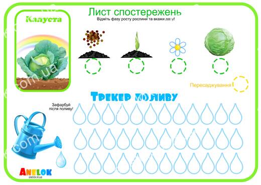 Лист спостережень за капустою – Етапи росту та трекер