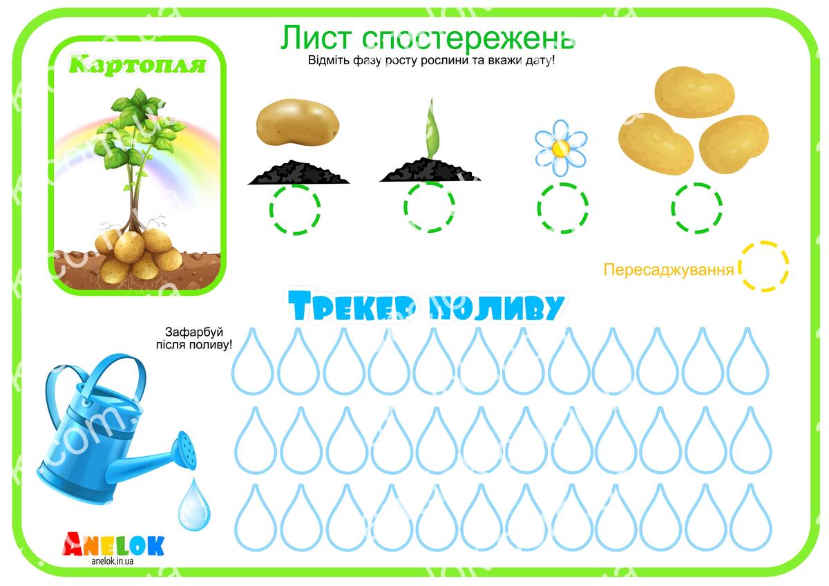 Лист спостережень за картоплею – Етапи росту та трекер
