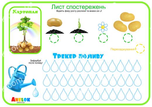 Лист спостережень за картоплею – Етапи росту та трекер