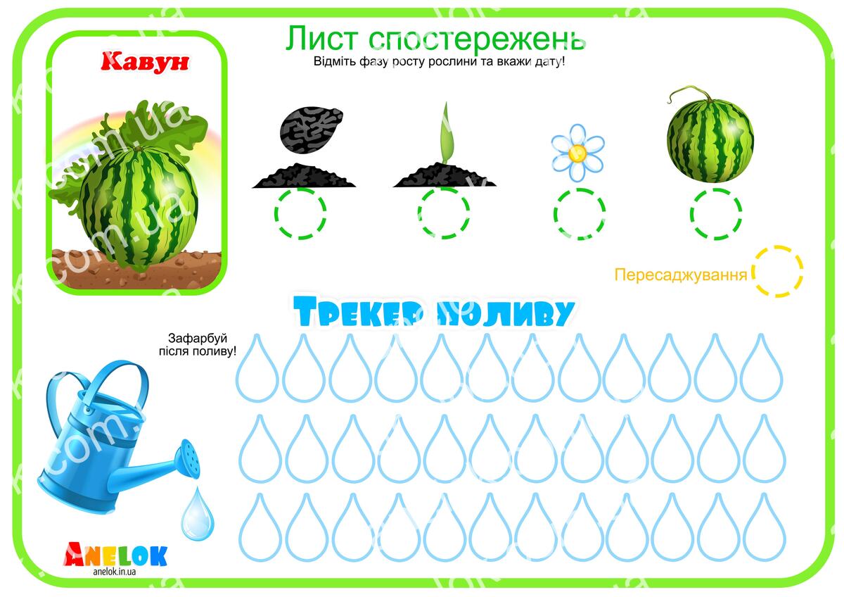 Лист спостережень за кавуном – Етапи росту та трекер