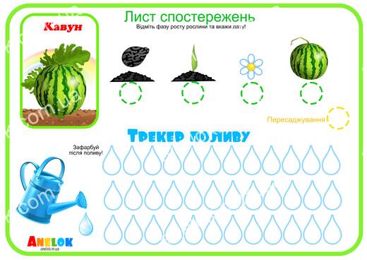 Лист спостережень за кавуном – Етапи росту та трекер