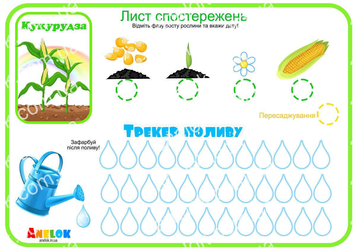 Лист спостережень за кукурудзою – Етапи росту та трекер