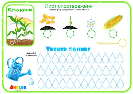 Лист спостережень за кукурудзою – Етапи росту та трекер