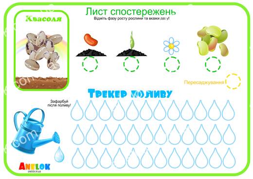 Лист спостережень за квасолею – Етапи росту та трекер