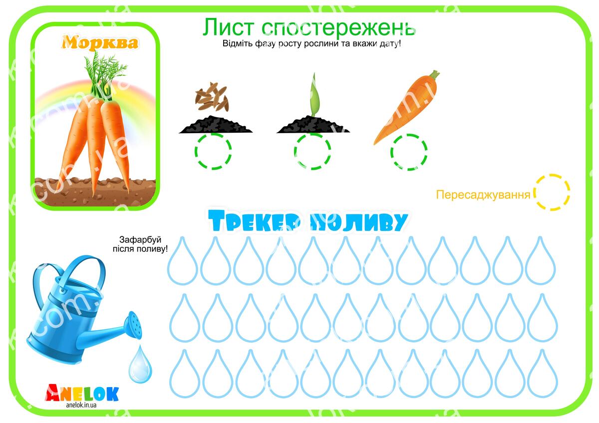 Лист спостережень за морквою – Етапи росту та трекер