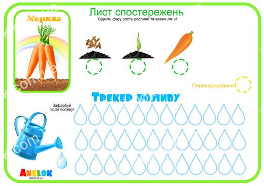 Лист спостережень за морквою – Етапи росту та трекер