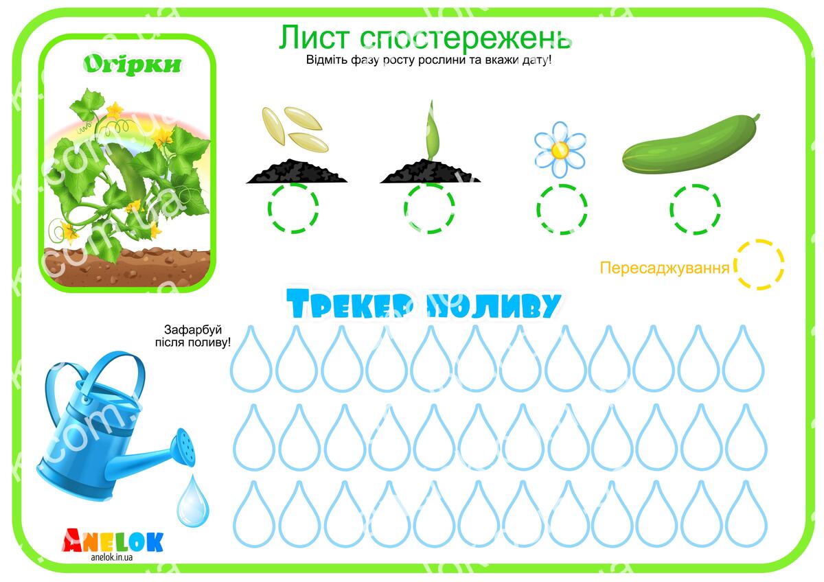 Лист спостережень за огірком – Етапи росту та трекер