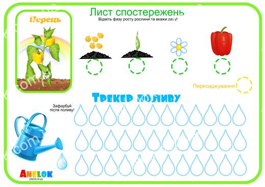 Лист спостережень за перцем – Етапи росту та трекер