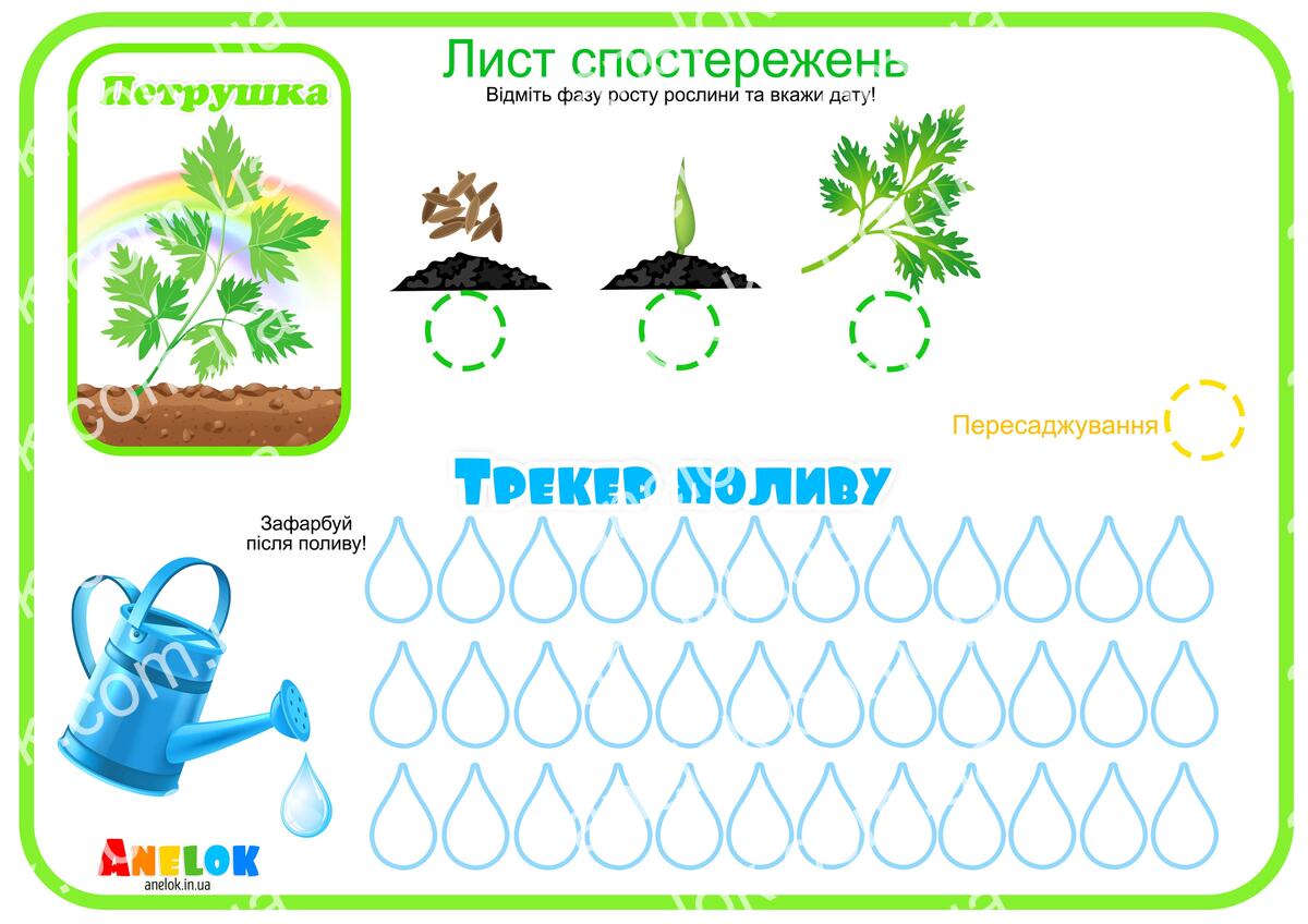 Лист спостережень за петрушкою – Етапи росту та трекер