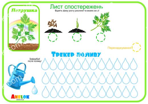 Лист спостережень за петрушкою – Етапи росту та трекер