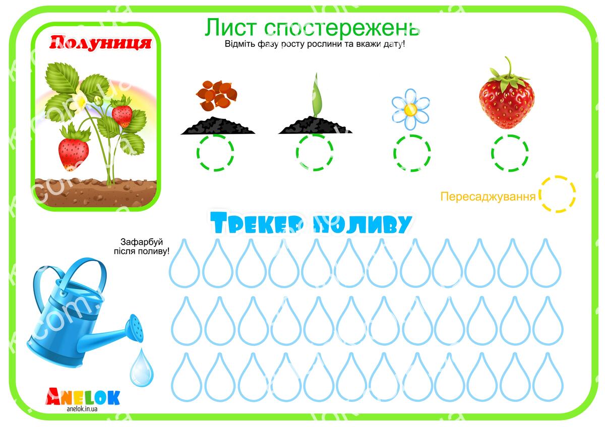 Лист спостережень за полуницею – Етапи росту та трекер
