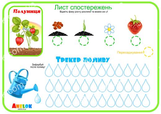 Лист спостережень за полуницею – Етапи росту та трекер