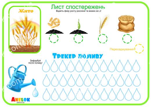 Лист спостережень за житом – Етапи росту та трекер