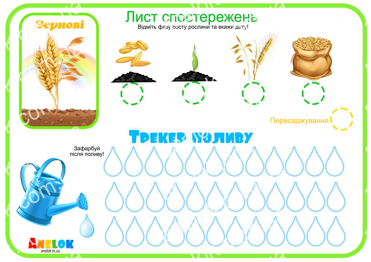 Лист спостережень за зерновими – Етапи росту та трекер