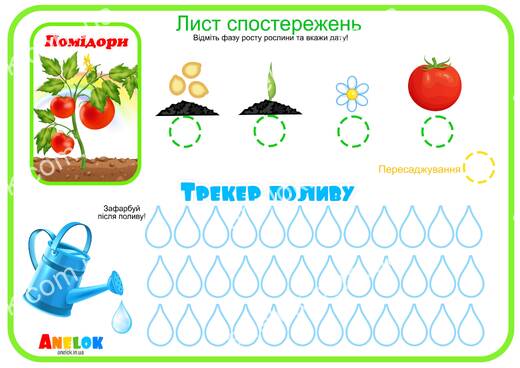 Лист спостережень за помідорами – Етапи росту та трекер
