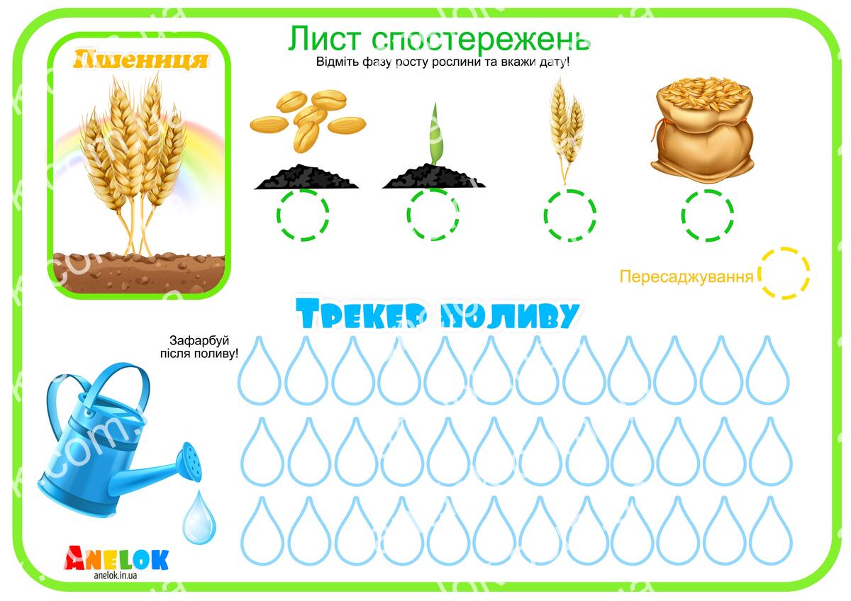 Лист спостережень за пшеницею – Етапи росту та трекер