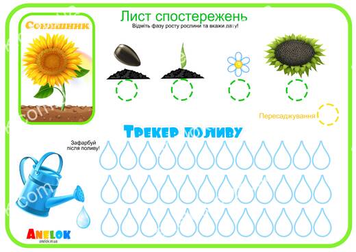 Лист спостережень за соняшником – Етапи росту та трекер
