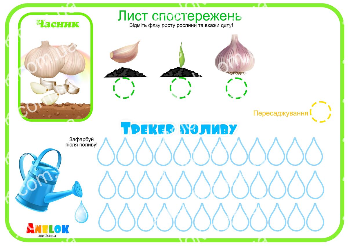 Лист спостережень за часником – Етапи росту та трекер
