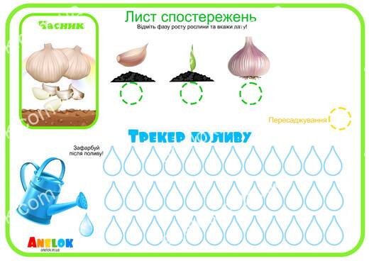 Лист спостережень за часником – Етапи росту та трекер
