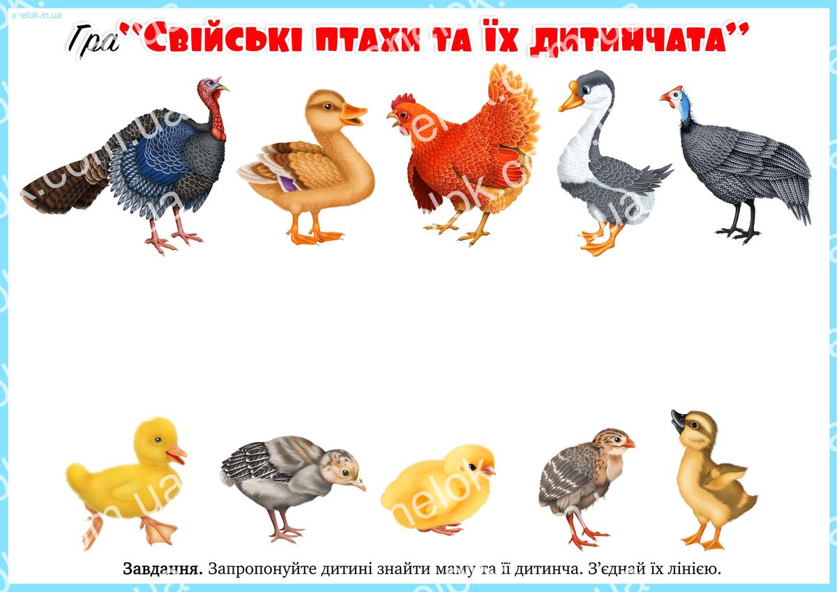 Свійські птахи та їх дитинчата – дидактична гра