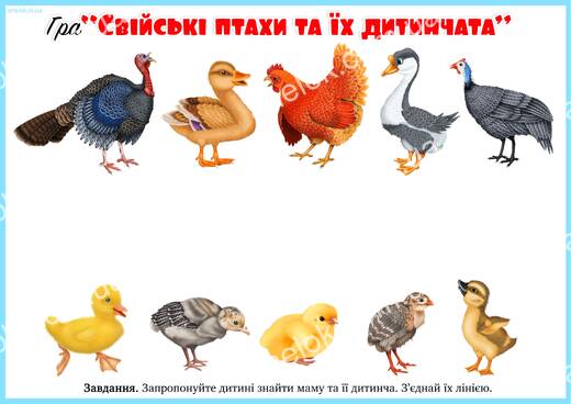 Свійські птахи та їх дитинчата – дидактична гра