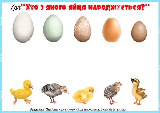 Хто з якого яйця народжується – гра про свійських птахів